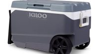 Igloo recalls over a million coolers after handle hazard causes fingertip amputation injuries