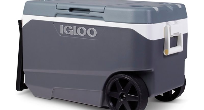 Igloo recalls over a million coolers after handle hazard causes fingertip amputation injuries