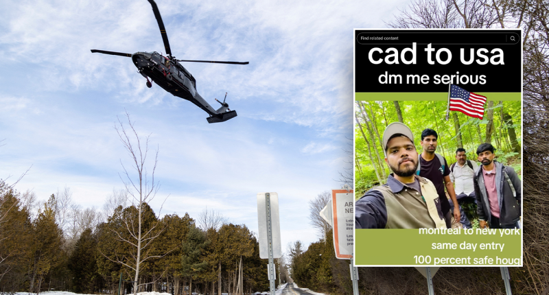 Illegal-smuggling coyotes now advertising at Canada border amid Trump migrant crackdown: report