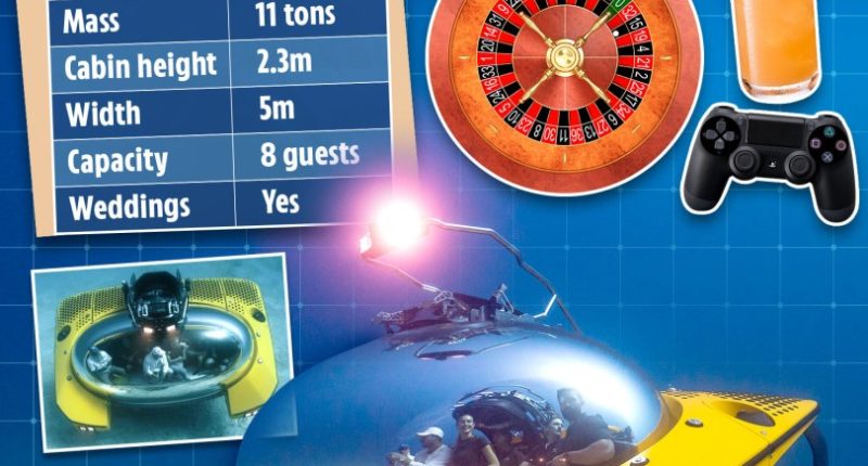 Illustration of the Triton 660/9 AVA submarine, with specifications and images depicting its use for various occasions.