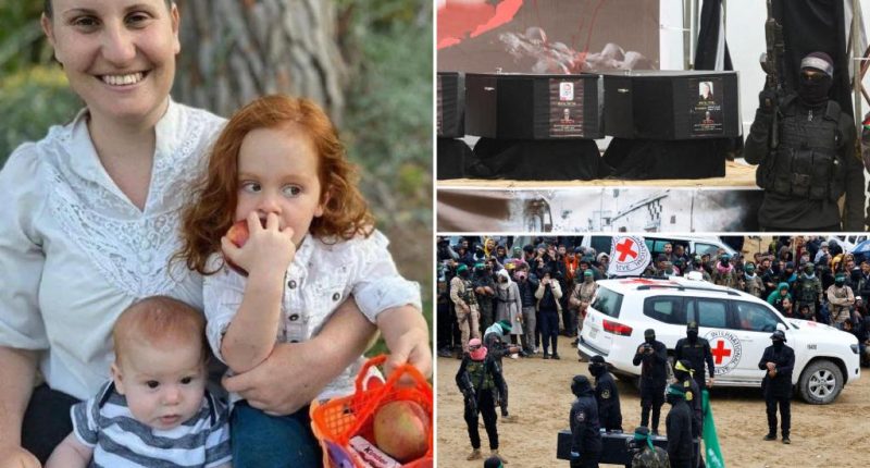 Israel confirms body of Shiri Bibas, mother and hostage Hamas is accused of murder