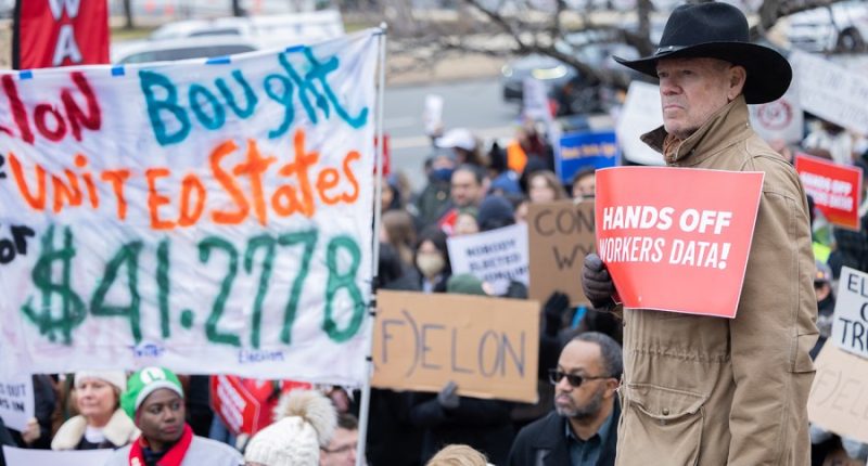 Judge won’t block DOGE from accessing Labor Department systems 