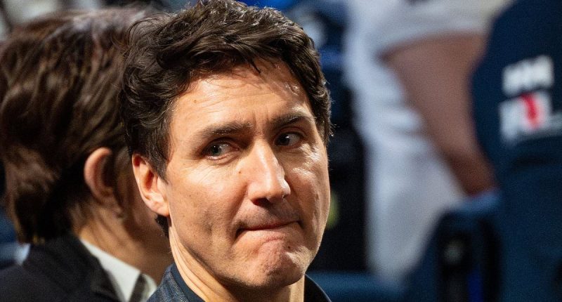 Justin Trudeau blasted for response to Toronto plane crash