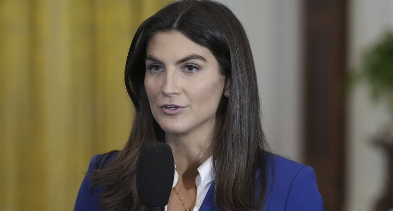 Kaitlan Collins spars with Trump over fate of Palestinians
