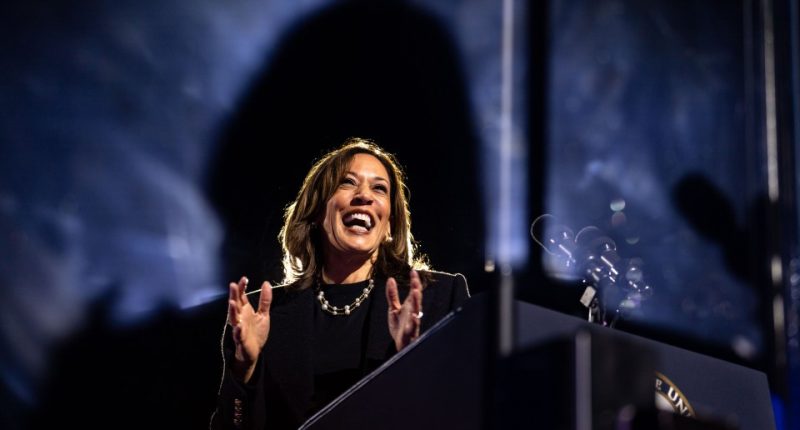 Vice President Kamala Harris speaking at a campaign rally.