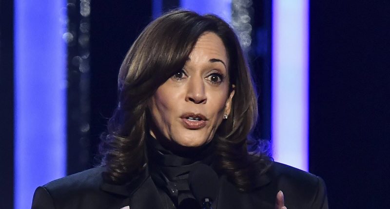 Kamala Harris makes her first TV appearance since leaving White House
