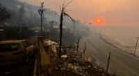 LA's rich and famous made 'odd request' of private armies as wildfires fueled fear, boss says