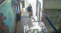 Person walking up a stone pathway with a mural on the wall.