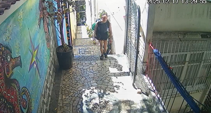 Person walking up a stone pathway with a mural on the wall.