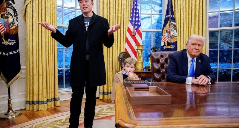 Liberal media is desperate to create Elon Musk drama