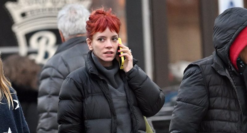 Lily Allen's husband David Harbour dating aspiring model
