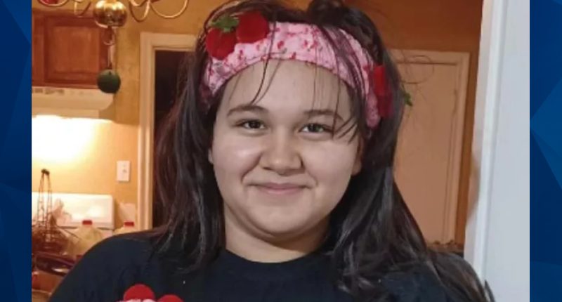 MISSING: 12-Year-Old Girl Disappears While Walking to Birthday Birthday