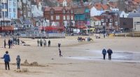 People on a beach in front of buildings.