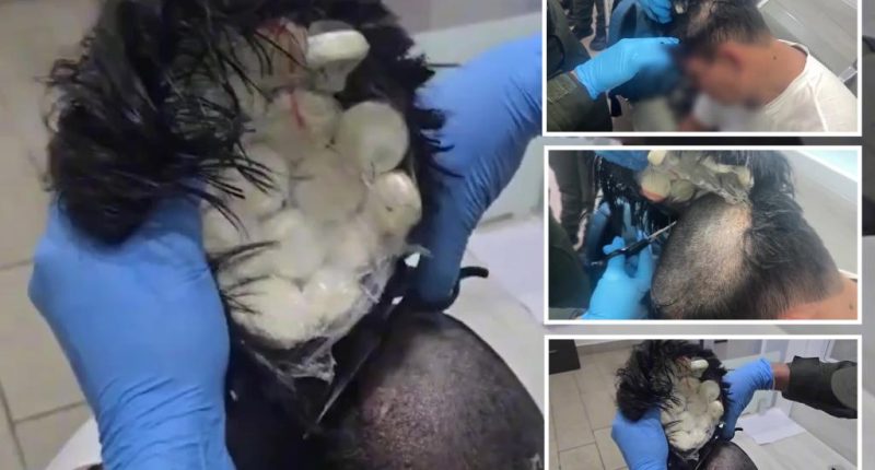 Man caught smuggling cocaine on a plane under his wig
