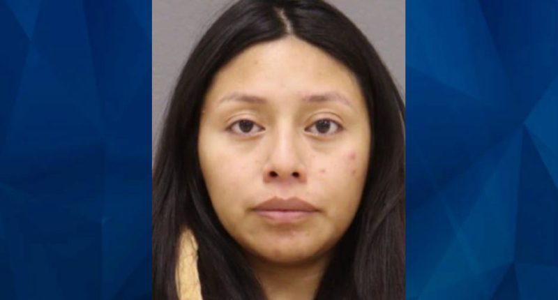 Michigan Mom Charged After Tot Daughter Smothers Between Car Seat and Door