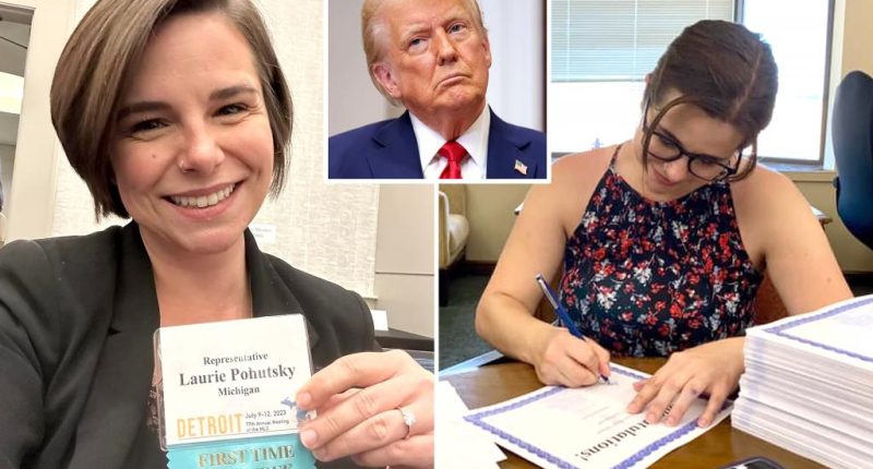 Michigan Rep. Laurie Pohutsky voluntarily sterilized herself to avoid pregnancy under Trump