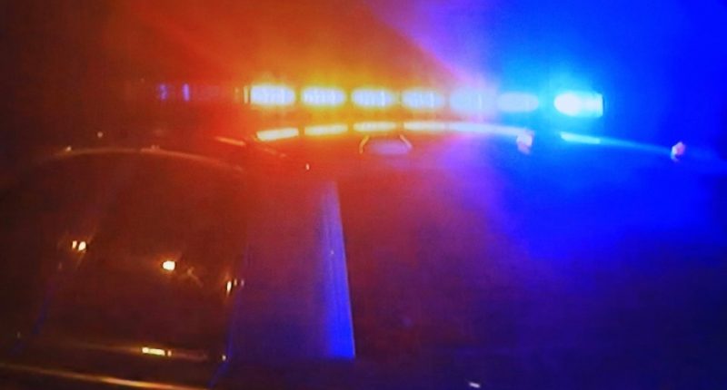 Blurred photo of a police car at night with flashing lights.