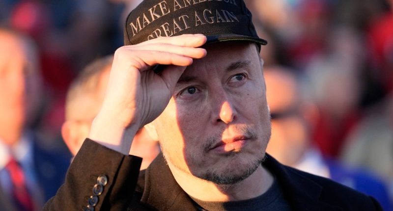 Musk says he has no plans to buy TikTok