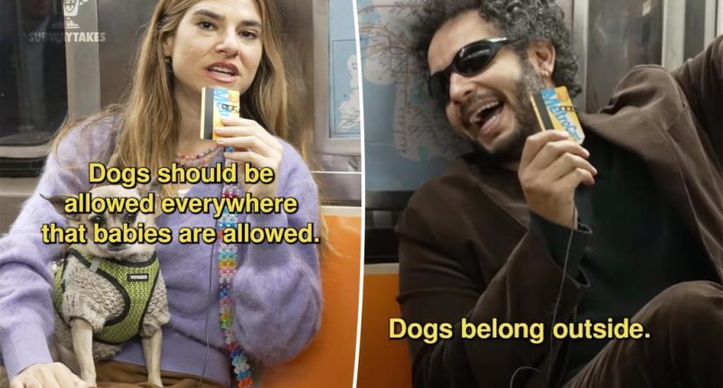 My dog should be able to go everywhere your dirty baby can