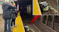 NYC straphangers flag down help for incoherent man lying on tracks -- moments before incoming train was due to arrive