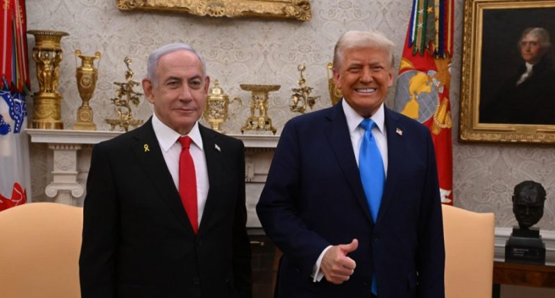 Netanyahu praises Trump's as Israel's 'greatest friend' to ever be president