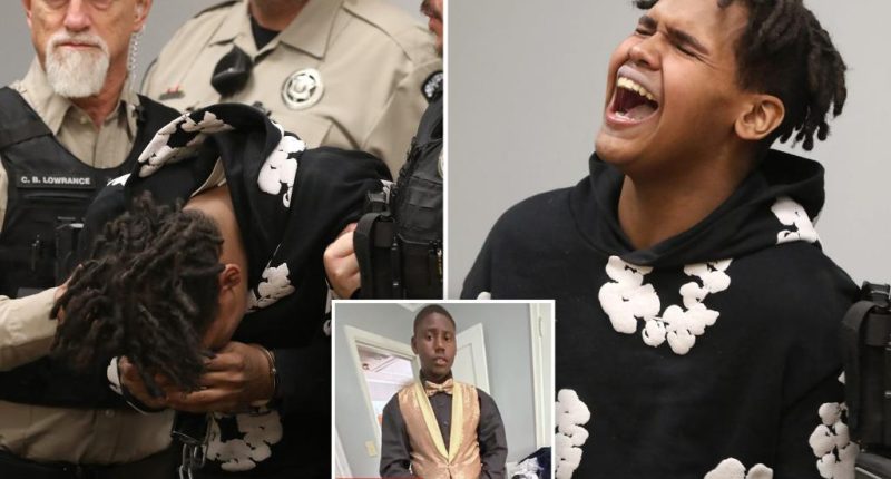North Carolina 16-year-old breaks down, cries for 'mama,' after being charged as adult for murder under new state law