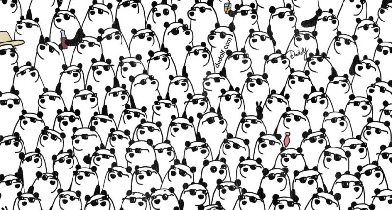 Illustration of many pandas wearing sunglasses.
