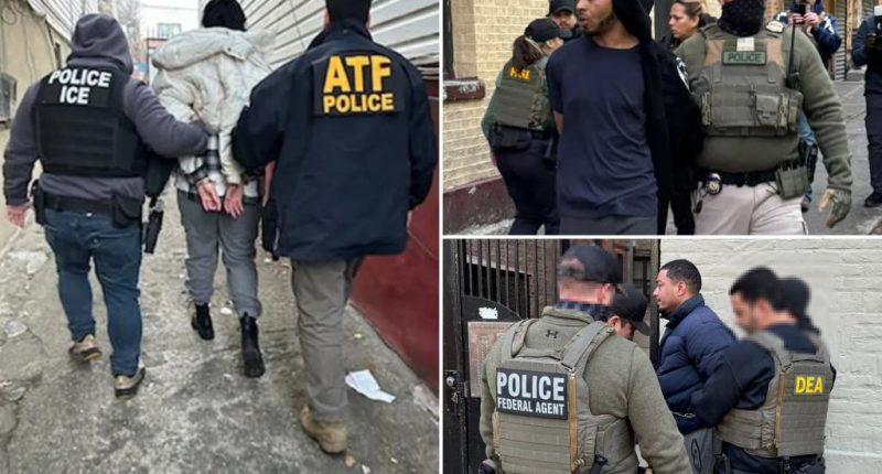 Overwhelming number of NYers want to boot illegal-migrant criminals: poll