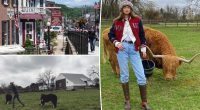 Pennsylvania town now home to celebs Gigi Hadid, Bradley Cooper
