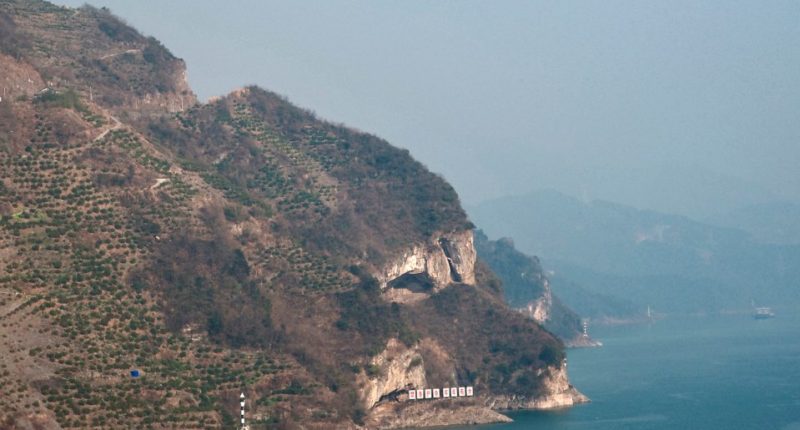People are just realising a picturesque clifface looks like a giant dozing PUPPY… & it’s sparked a surprise tourist boom