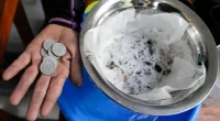 Philippine village offers cash for mosquitos amid dengue outbreak