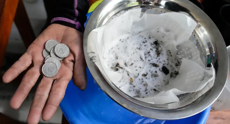 Philippine village offers cash for mosquitos amid dengue outbreak