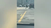 Police searching for ax-wielding suspect caught on camera attacking car in apparent road rage incident