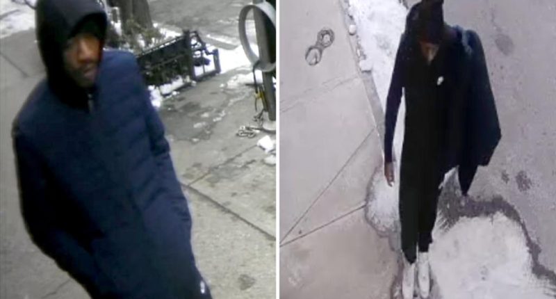 Predator posing as immigration agent drags, attempts to rape woman, 51, in terrifying NYC encounter: cops