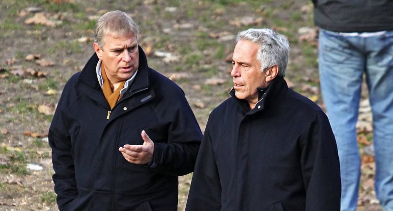 Prince Andrew emailed Jeffrey Epstein after he claimed to cut him off