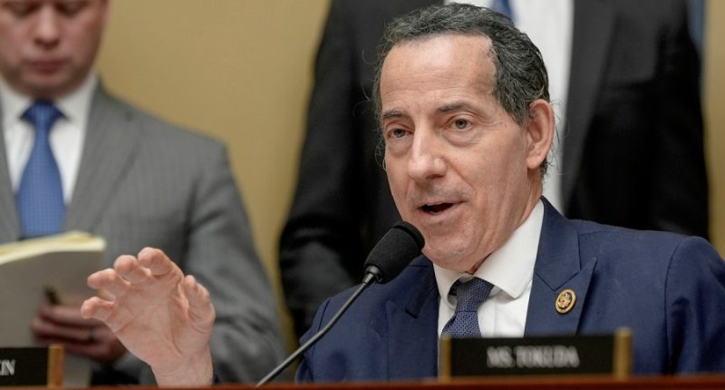 Raskin warns ICE raids could sweep up 'innocent citizens,' demands answers