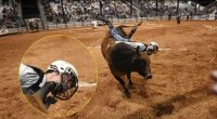 Rodeo rider impaled by bull's horn.
