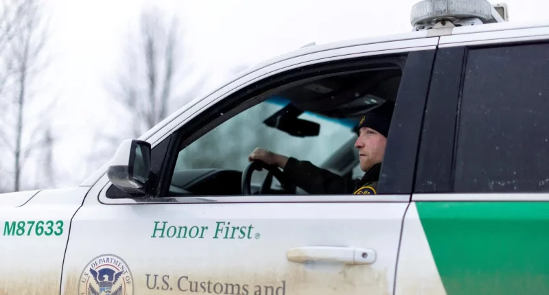 Sanctuary state's 'green light' law is red flag for Americans' safety, national security: experts