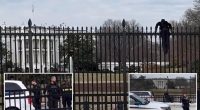 Secret Service swarm man climbing over White House fence