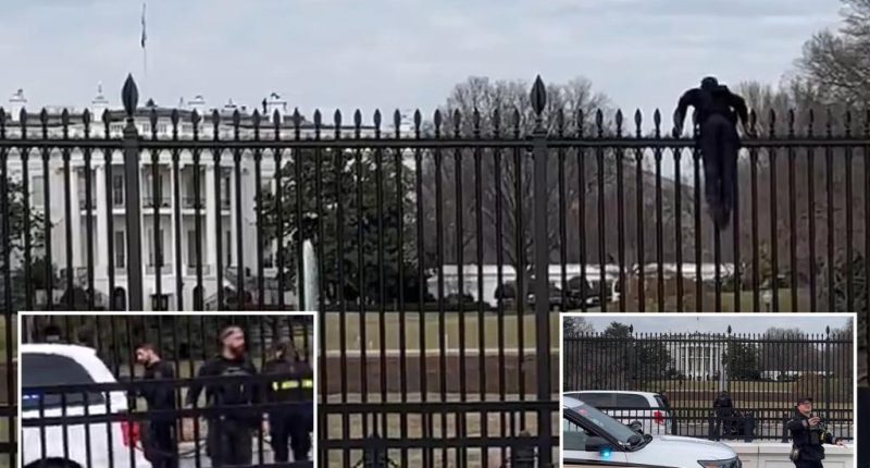 Secret Service swarm man climbing over White House fence