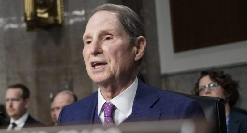 Senate Democrat: ‘Musk is about subverting Constitution’ 