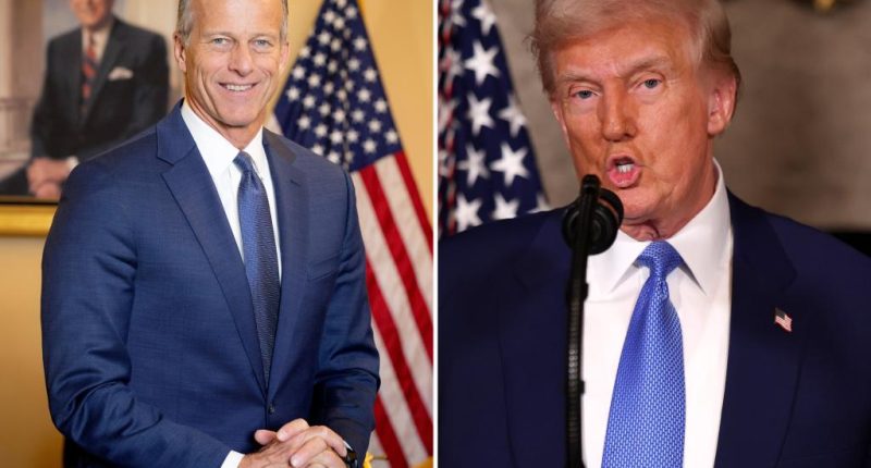 Senate Majority Leader John Thune fires back at Trump admin’s ambitious spending cuts