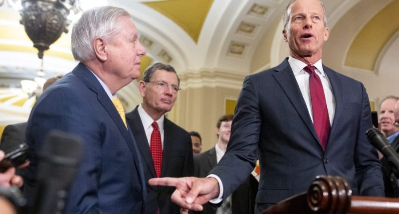 Senate adopts budget resolution after marathon overnight vote-a-rama