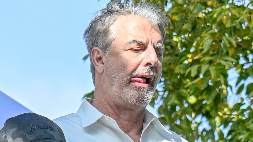 Sex and The City star is unrecognizable at an amusement park in LA