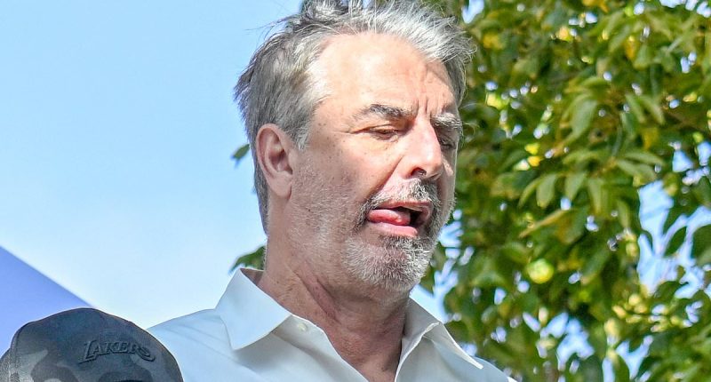 Sex and The City star is unrecognizable at an amusement park in LA