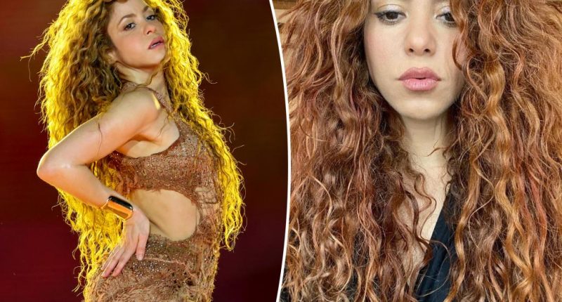 Shakira hospitalized with 'abdominal issue,' postpones Peru show