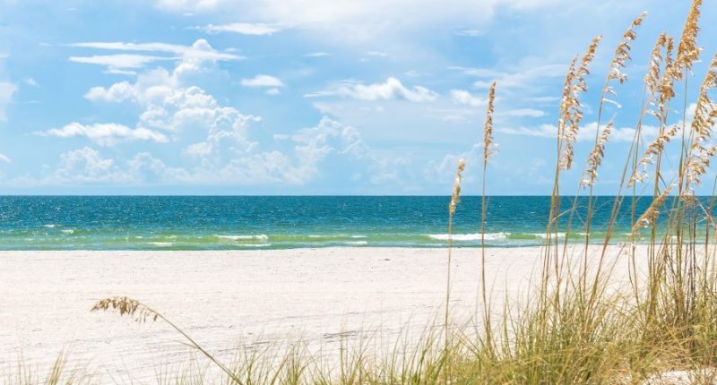 St. Pete Beach considering new ordinance to cut down on loud noise