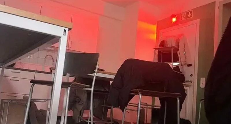 Swedish school on lockdown after 'mass shooting with automatic weapon'