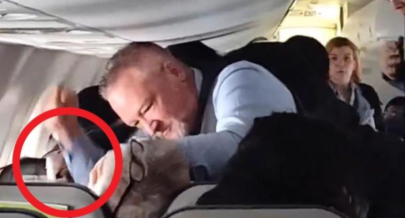 A man restraining a woman on an airplane.