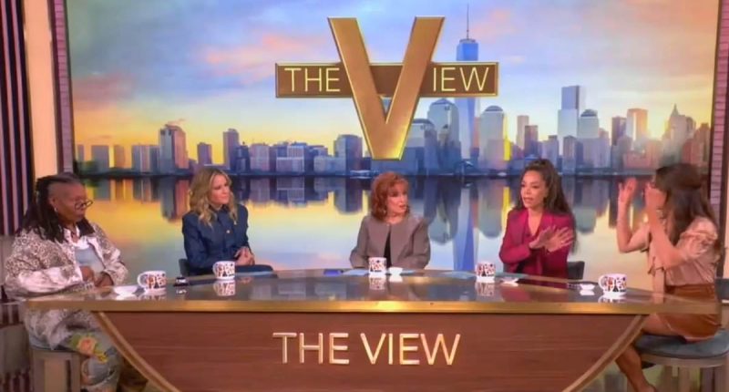 The View panel spirals into on-air spat as hosts argue over Trump